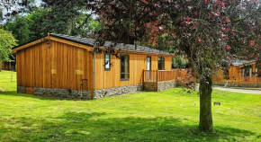 Loch Lomond Castle Lodges Skyline 1